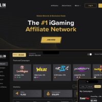 All In Affiliates